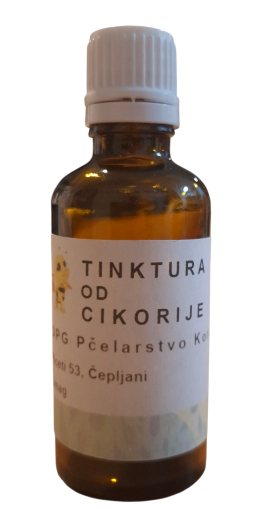 cikorija tinktura